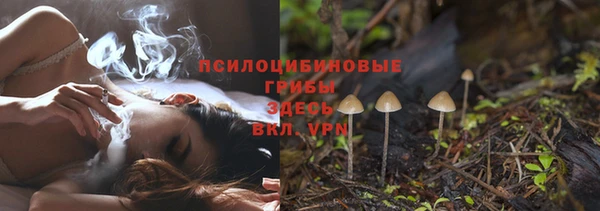 амф Рославль