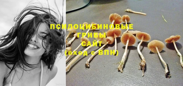 бутират Ростов