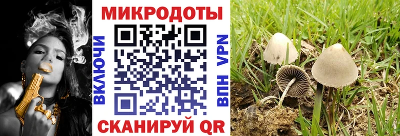 Галлюциногенные грибы Psilocybine cubensis  Купить закладки  Покров 